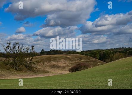 25 février 2022, Brandebourg, Stützkow: Les nuages se délellent sur le paysage vallonné dans le parc national de la vallée inférieure de l'Oder. Le parc national de Lower Oder Valley a été créé en 1995 après cinq années de préparation et couvre une superficie de 10 500 hectares. La vallée de l'Oder est l'un des derniers paysages de plaine inondable de rivière presque naturelle dans l'ouest de l'Europe centrale avec une variété d'espèces animales et végétales menacées. Photo: Patrick Pleul/dpa-Zentralbild/ZB Banque D'Images