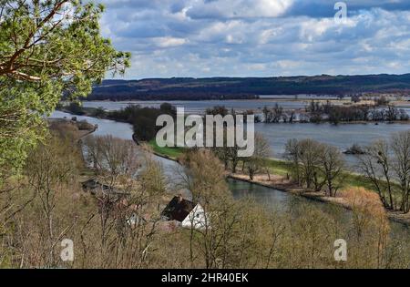 25 février 2022, Brandebourg, Stützkow: Vue d'un point de vue au-dessus du petit village de Stützkow dans le quartier Uckermark de la voie navigable Hohensaaten-Friedrichsthal et des prairies de polder inondées par les hautes eaux de la rivière Oder. Le parc national de Lower Oder Valley a été créé en 1995 après cinq années de préparation et couvre une superficie de 10 500 hectares. La vallée de l'Oder est l'un des derniers paysages de plaine inondable de rivière presque naturelle dans l'ouest de l'Europe centrale avec un grand nombre d'espèces animales et végétales menacées. Photo: Patrick Pleul/dpa-Zentralbild/ZB Banque D'Images