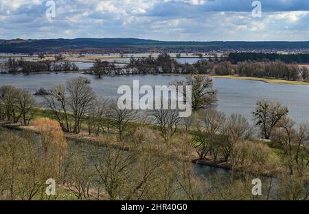 25 février 2022, Brandebourg, Stützkow: Vue d'un point de vue au-dessus du petit village de Stützkow dans le quartier Uckermark de la voie navigable Hohensaaten-Friedrichsthal et des prairies de polder inondées par les hautes eaux de la rivière Oder. Le parc national de Lower Oder Valley a été créé en 1995 après cinq années de préparation et couvre une superficie de 10 500 hectares. La vallée de l'Oder est l'un des derniers paysages de plaine inondable de rivière presque naturelle dans l'ouest de l'Europe centrale avec un grand nombre d'espèces animales et végétales menacées. Photo: Patrick Pleul/dpa-Zentralbild/ZB Banque D'Images