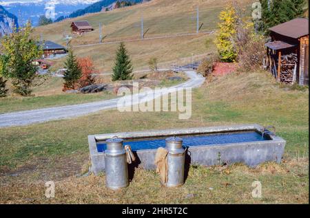 Churns de lait dans les alpages de montagne à Wengen, Suisse, 1980s Banque D'Images