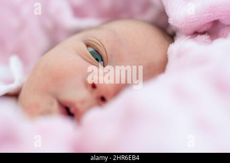 Portrait d'une jeune fille de nouveau-né couché dans son berceau enveloppé dans sa couverture rose douce. Soins de naissance et de nouveau-né Banque D'Images