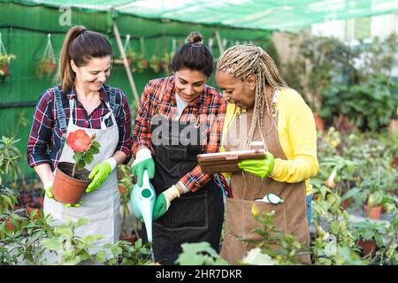 Jardiniers multiraciaux travaillant ensemble dans la boutique de jardins de plantes et de fleurs Banque D'Images