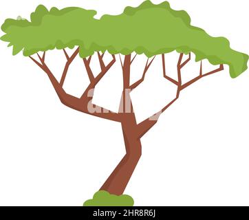 Acacia africaine de style plat isolée sur fond blanc Illustration de Vecteur