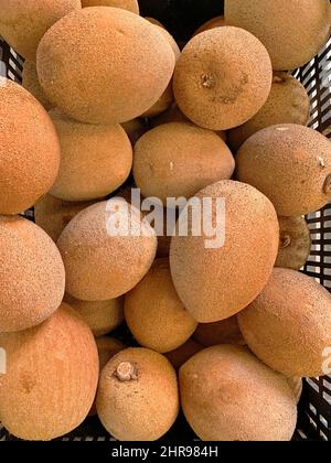 Photo verticale de pommes de mamey fraîches (Mammea americana) dans le chariot à vendre Banque D'Images