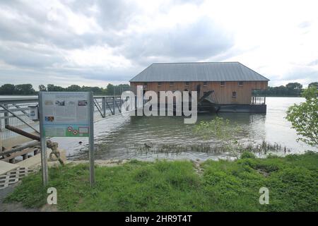 Moulin à bateaux historique sur le Rhin, Ginsheim, Hesse, Allemagne Banque D'Images