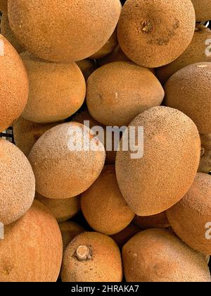 Plan vertical de pommes de mamey biologiques et fraîches (Mammea americana) à vendre Banque D'Images