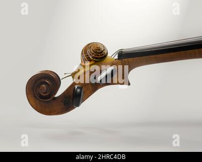 Gros plan d'un escargot sur un violon Banque D'Images