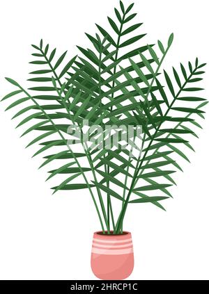 Maison plante areca palmier, maison tropicale, illustration vectorielle Illustration de Vecteur