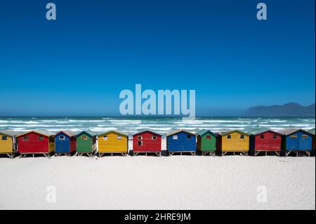 Maisons colorées sur la plage de Muizenberg près du Cap Banque D'Images