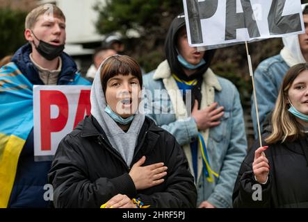 Madrid, Espagne. 25th févr. 2022. Les citoyens et les partisans ukrainiens scandent des slogans alors qu'ils se rassemblent devant l'ambassade de Russie lors d'un rassemblement anti-wat, le deuxième jour après que la Russie ait attaqué le territoire ukrainien.des manifestations anti-guerre en faveur de l'Ukraine ont lieu dans les plus grandes villes du monde. Crédit : SOPA Images Limited/Alamy Live News Banque D'Images