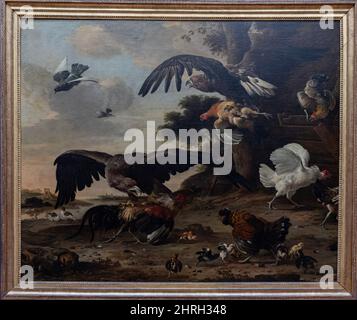 Musée du Louvre. Aigles attaquant les poulets peints par Melchior de Hondecoeter Banque D'Images