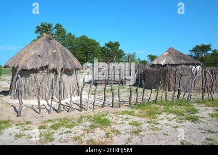 Village indigène dans la région du delta de l'Okavango. Les maisons ont des murs en argile et des toits en roseaux séchés. Botswana, Afrique. Banque D'Images