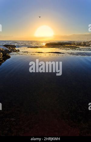 Vous serberez au-dessus du soleil levant sur la côte Pacifique de l'Australie - Curl Curl Beach à Sydney. Banque D'Images