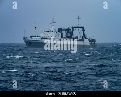 Un bateau de pêche au krill attrapant le krill au large des îles Orcades du Sud, Antarctique Banque D'Images