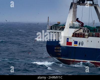 Un bateau de pêche au krill attrapant le krill au large des îles Orcades du Sud, Antarctique Banque D'Images