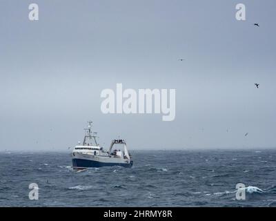 Un bateau de pêche au krill attrapant le krill au large des îles Orcades du Sud, Antarctique Banque D'Images