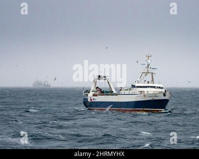 Un bateau de pêche au krill attrapant le krill au large des îles Orcades du Sud, Antarctique Banque D'Images