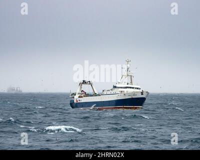 Un bateau de pêche au krill attrapant le krill au large des îles Orcades du Sud, Antarctique Banque D'Images