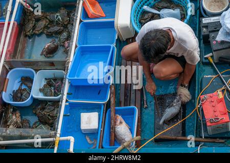 Un pêcheur local vend des prises de petits bateaux sur le front de mer de Sai Kung, à Hong Kong Banque D'Images