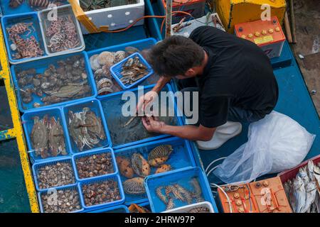 Un pêcheur local vend des prises de petits bateaux sur le front de mer de Sai Kung, à Hong Kong Banque D'Images