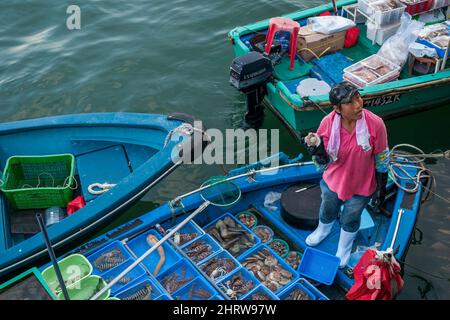 Une pêcheur locale vend des prises de petit bateau sur la digue du front de mer de Sai Kung, à Hong Kong Banque D'Images