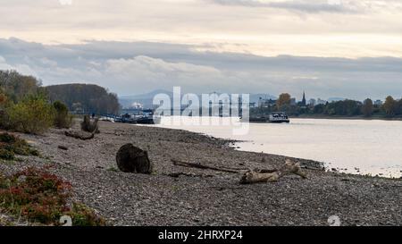 Niederkassel, Rhénanie-du-Nord-Westphalie, Allemagne - 31 octobre 2021 : navires sur le Rhin à Mondorf, avec Bonn et le Siebengebirge à l'arrière-pays Banque D'Images