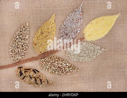 Sélection de grains sains différents et alternatifs en forme de fleur de blé Banque D'Images