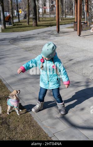 Un enfant joue dans le parc avec un petit chien. Une fille et un chien Chihuahua. Un enfant de cinq ans avec de longs cheveux tressés en picots. Fille tenant un animal de compagnie Banque D'Images