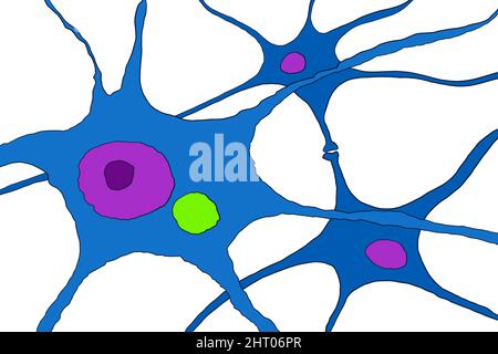 Particules de virus de la rage dans le neurone, illustration Banque D'Images