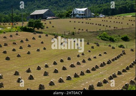 Foin mis en balles dans une ferme amish. Mifflin County, Pennsylvanie, États-Unis Banque D'Images