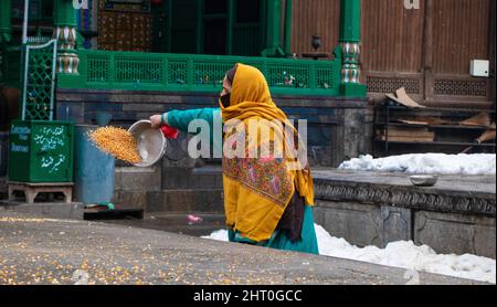 Cachemire, Inde. 25th févr. 2022. 26 février 2022, Srinagar, Jammu-et-Cachemire, Inde: Une femme qui nourrit des pigeons à l'extérieur d'un sanctuaire soufi, Shahi-Hamdan, recouvert de neige lors d'une chute de neige fraîche à Srinagar, Jammu-et-Cachemire. (Credit image: © Adil Abbas/ZUMA Press Wire) Credit: ZUMA Press, Inc./Alamy Live News Banque D'Images