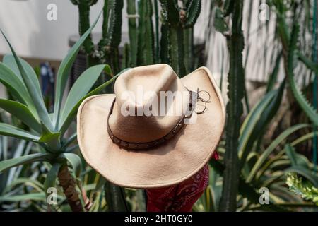 Chapeau de cowboy parmi les plantes de Cactus ensemble de désert Banque D'Images
