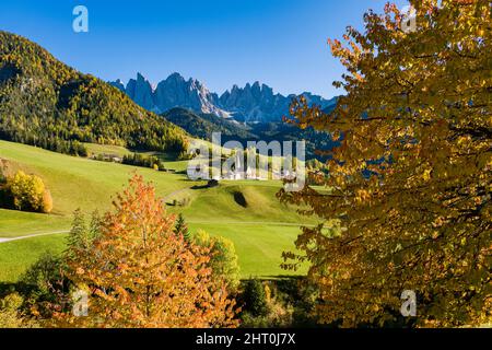 Vue sur l'église Saint-Magdalena dans la vallée de Villnöss, les faces nord et les sommets du groupe Odle au loin, en automne. Banque D'Images