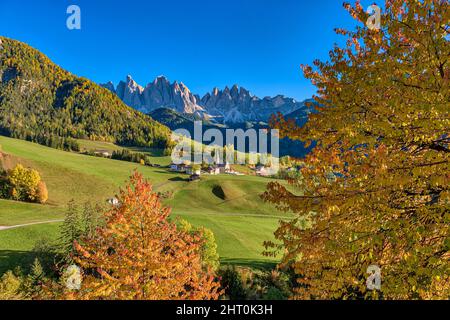 Vue sur l'église Saint-Magdalena dans la vallée de Villnöss, les faces nord et les sommets du groupe Odle au loin, en automne. Banque D'Images