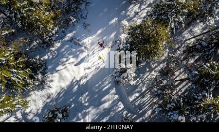 Deux personnes ski de fond dans une belle forêt de conifères couverte de neige, vue de dessus de drone. Banque D'Images
