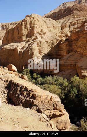 Dans les montagnes de la Réserve Naturelle d'Ein Gedi, sur les rives de la mer Morte en Israël. Banque D'Images