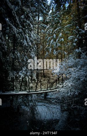 Photo verticale du pont suspendu Capilano pendant l'hiver à Vancouver, C.-B., Canada Banque D'Images