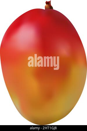 clip art à élément vectoriel de maillage de dégradé mango Illustration de Vecteur