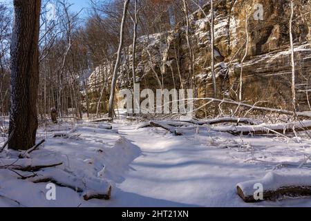 Neige fraîche lors d'une belle matinée ensoleillée dans la région de l'Illinois Canyon. Parc national de Starved Rock, Illinois, États-Unis. Banque D'Images