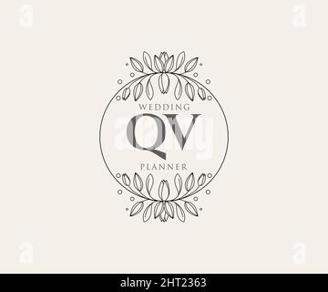 Lettre initiale de QV mariage monogramme logos collection, dessin à la main moderne minimaliste et modèles floraux pour cartes d'invitation, Save the Date, élégant Illustration de Vecteur