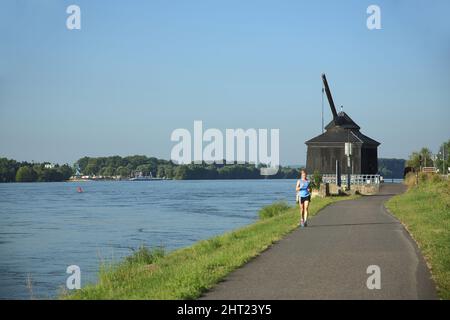 Grue historique de chargement de vin, 1745, jogger sur les rives du Rhin, Oestruch-Winkel dans le Rheingau, Hesse, Allemagne Banque D'Images