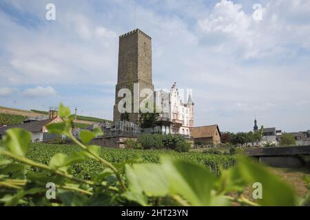 Boosenburg, construit au 12th siècle, à Rüdesheim am Rhein, Hesse, Allemagne Banque D'Images