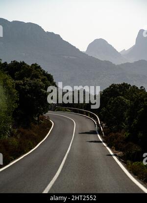 Plan vertical d'une route asphaltée entre des arbres verts denses dans la forêt au printemps Banque D'Images