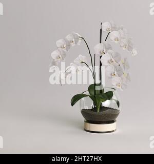 Vase en verre avec fleurs de phalaenopsis décoratives isolées sur fond gris Banque D'Images