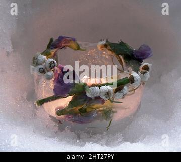 Lanterne glacée aux fleurs congelées Banque D'Images