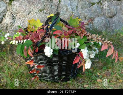 Panier avec feuilles de couleur automnale Banque D'Images