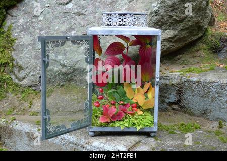 Arrangement d'automne dans lanterne en fer Banque D'Images