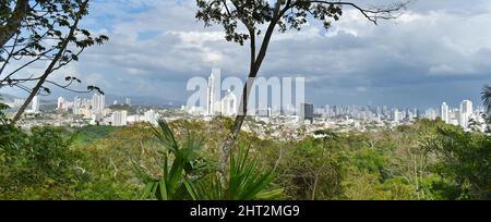 Panama City, vue depuis le parc naturel métropolitain, jungle dans la ville. Banque D'Images