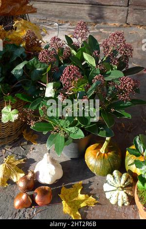 Arrangement d'automne Banque D'Images