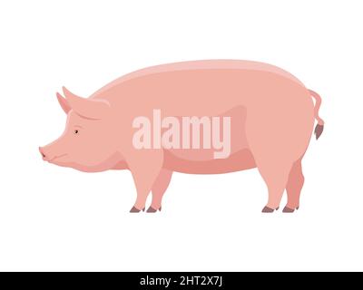 Gros cochon gras. Illustration vectorielle d'un gros cochon gras isolé sur fond blanc. Style plat, vue latérale. Illustration de Vecteur